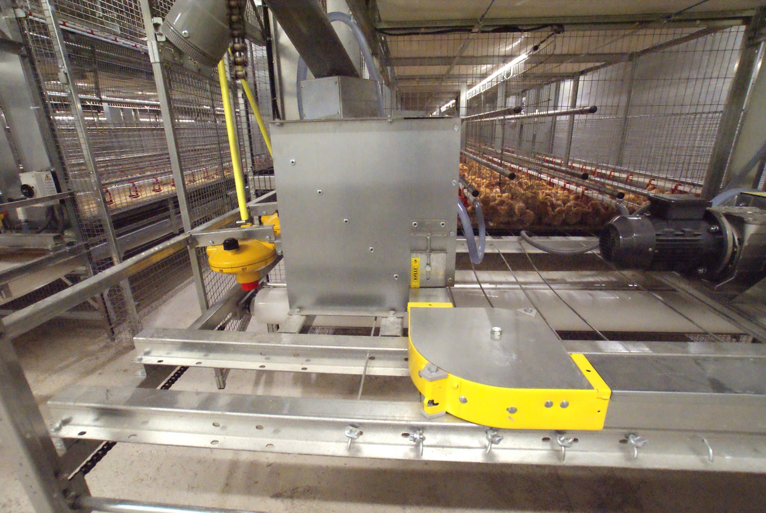 Industrial setting with chickens behind a metal fence and automated feeding or egg collection system in the foreground.