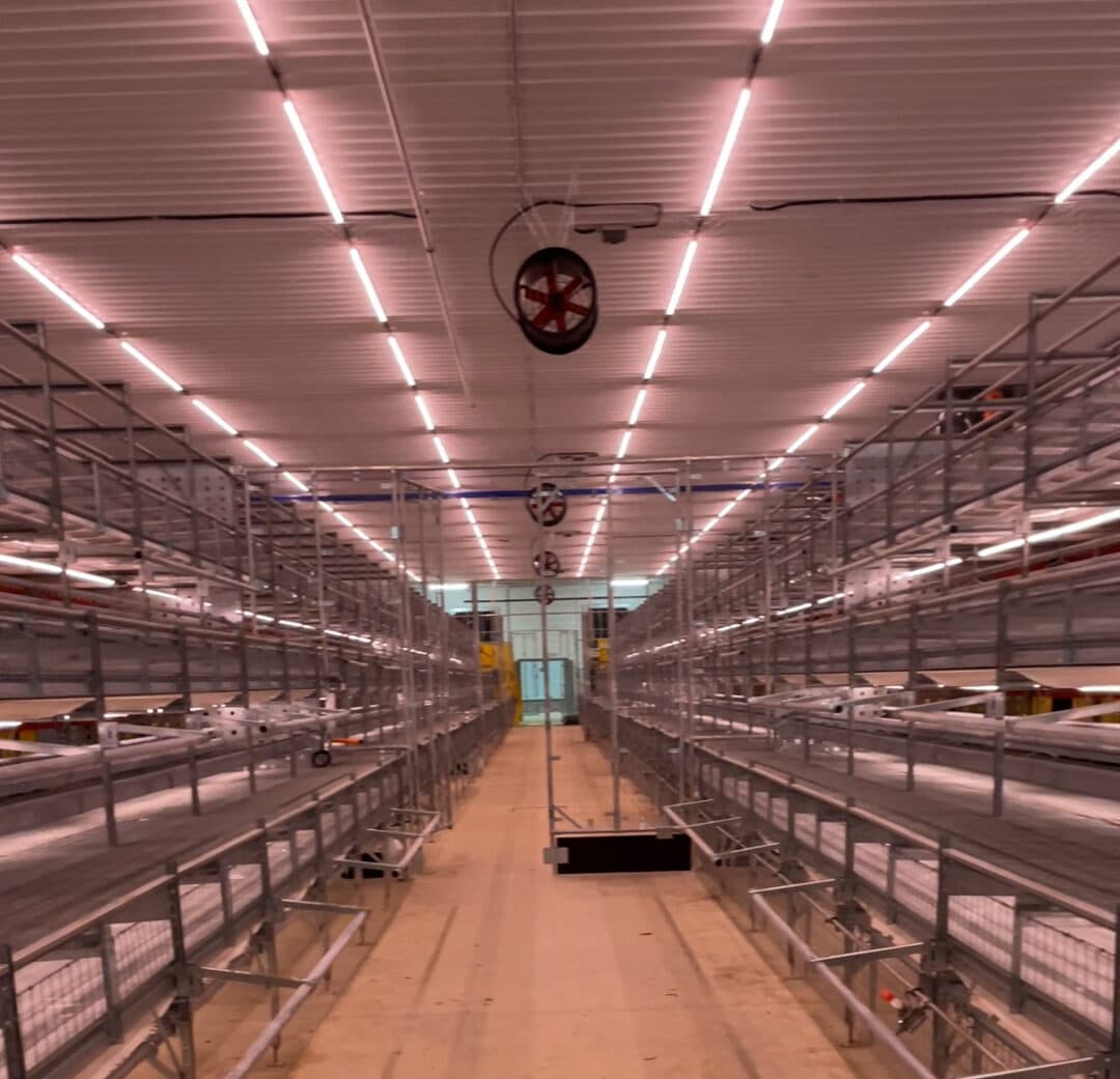 Interior space with high ceiling, multiple rows of empty metal shelving units, and fluorescent lights above.