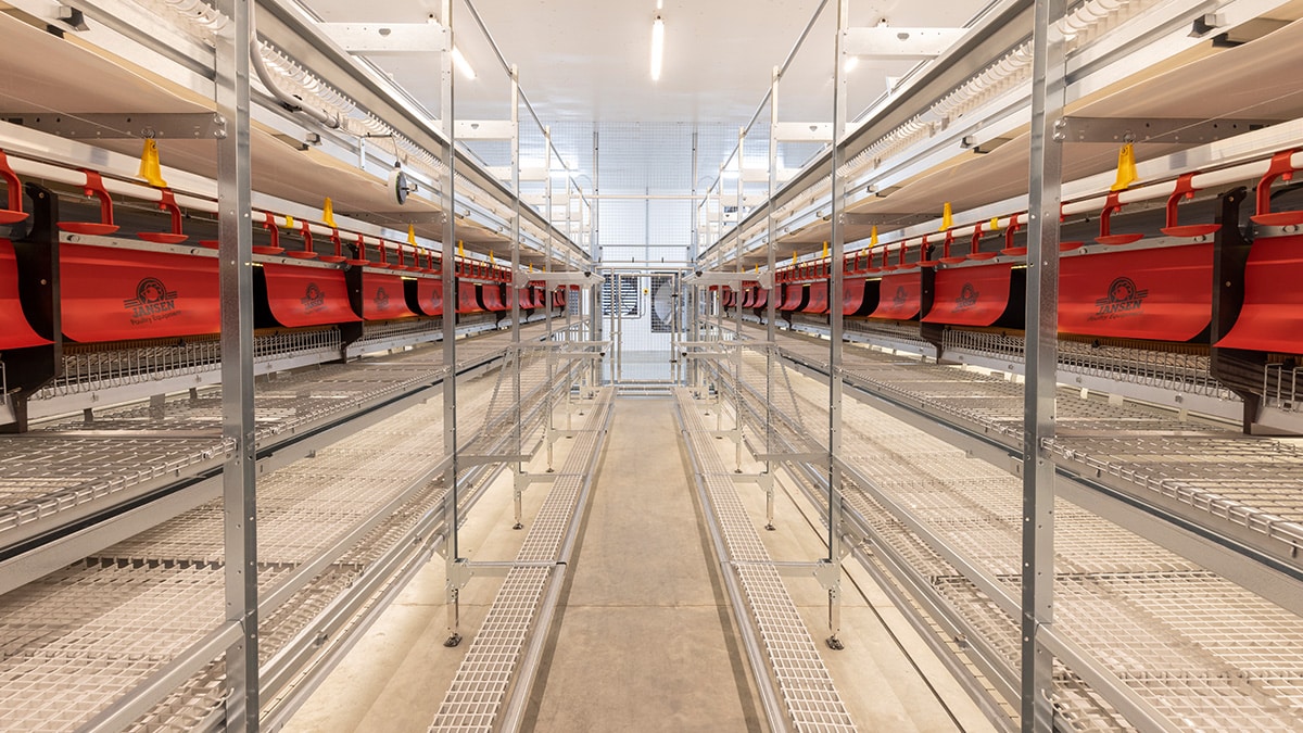Interior view of a modern automated warehouse with conveyor systems and red plastic bins on metal shelving units.