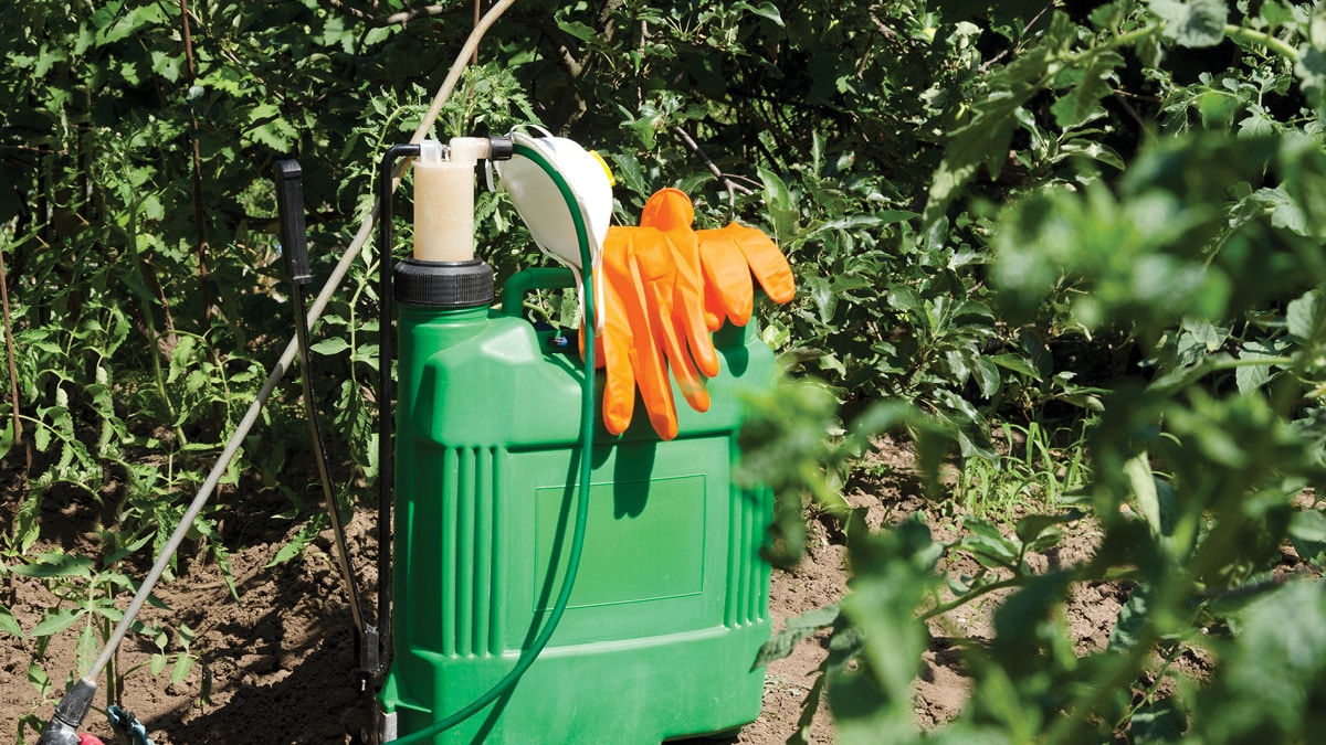 Green garden sprayer with a white pump handle and attached hose, with orange gloves draped over the handle.